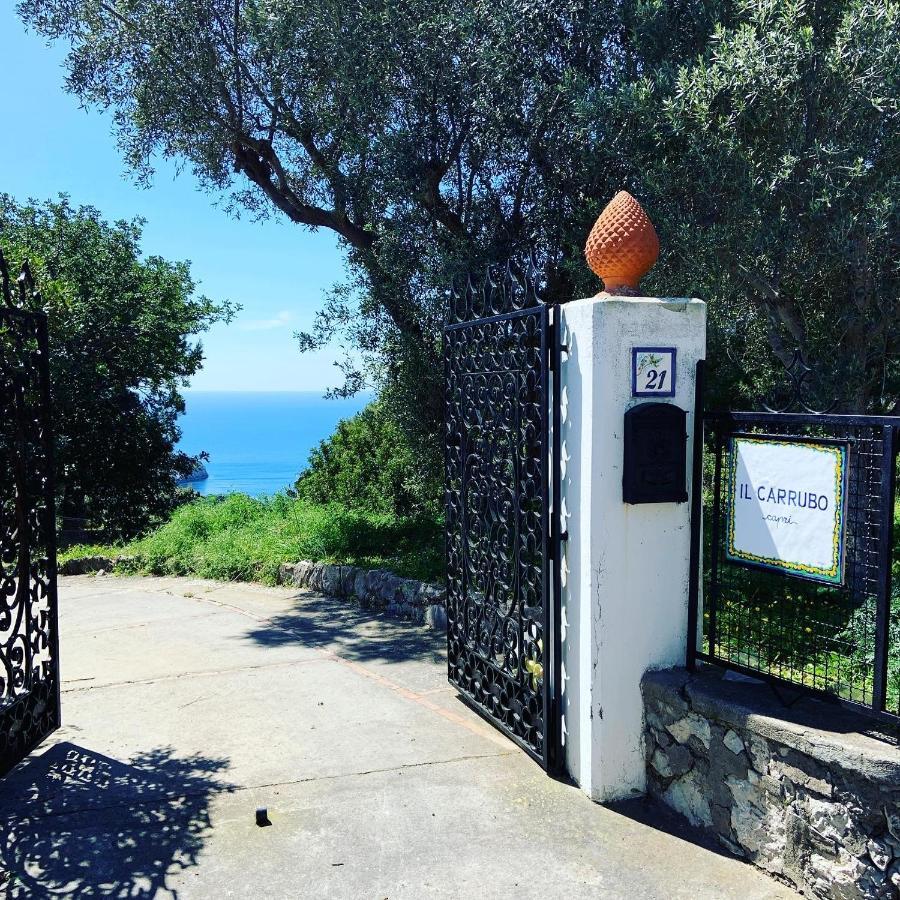 Il Carrubo Capri Anacapri (Isola di Capri)