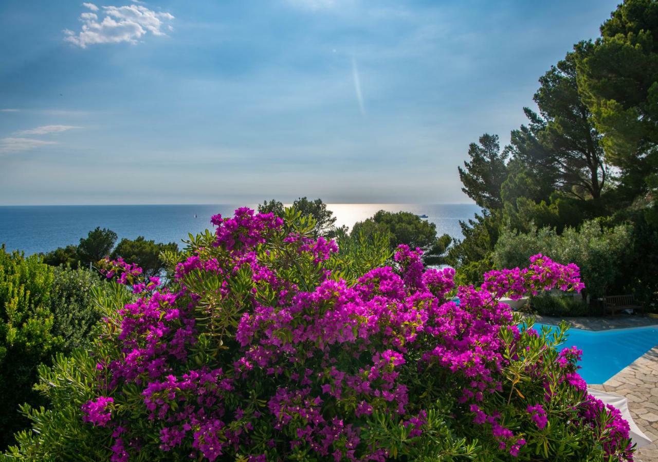Il Carrubo Capri