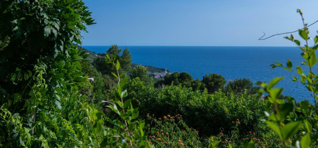 Country house Il Carrubo Capri *