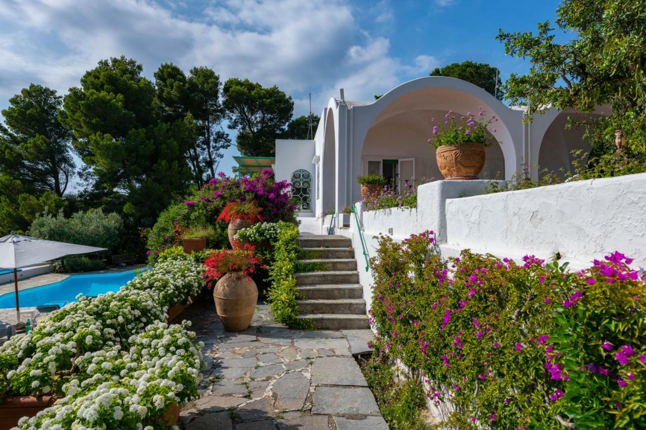 Il Carrubo Capri Country house