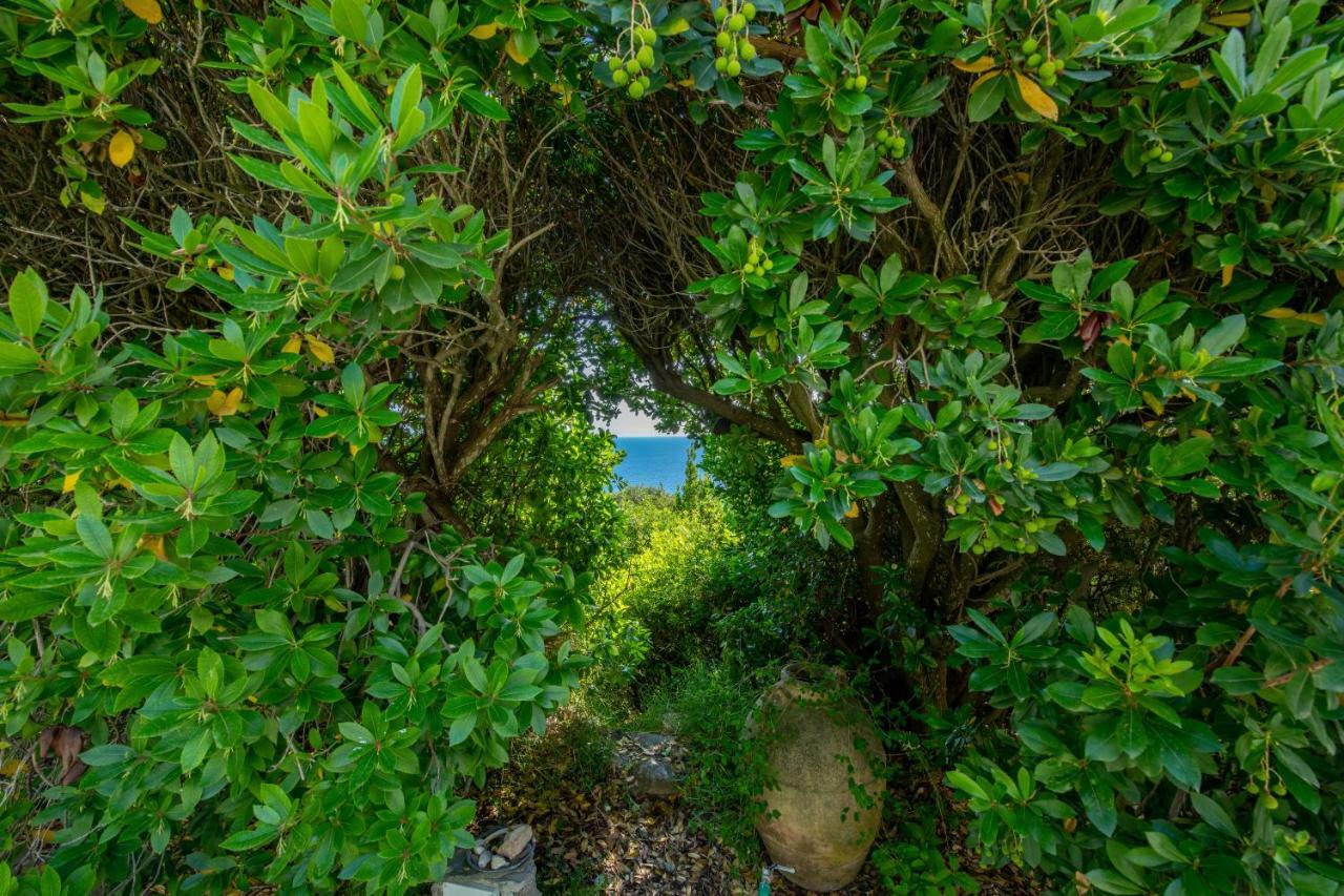 Il Carrubo Capri Country house *