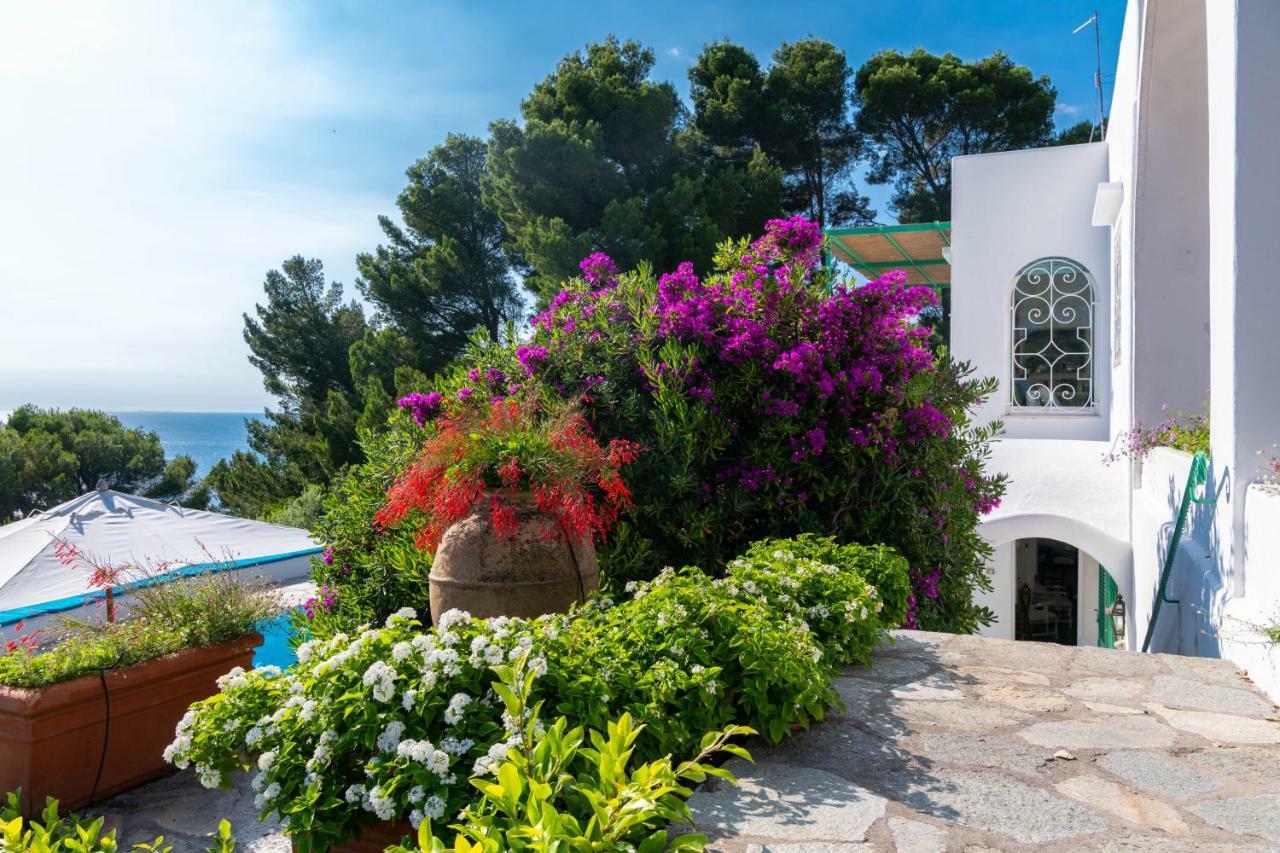 Il Carrubo Capri * Anacapri (Isola di Capri)