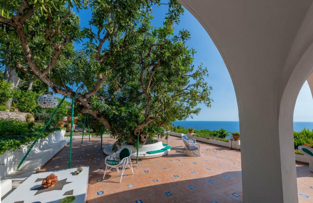 Il Carrubo Capri Anacapri (Isola di Capri)