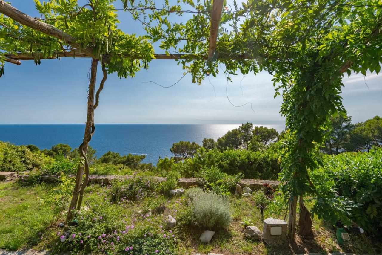 Il Carrubo Capri *