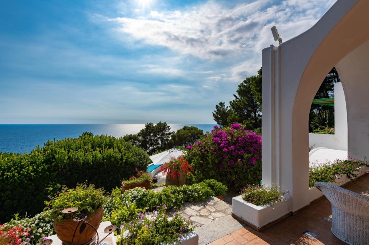 Il Carrubo Capri * Anacapri (Isola di Capri)