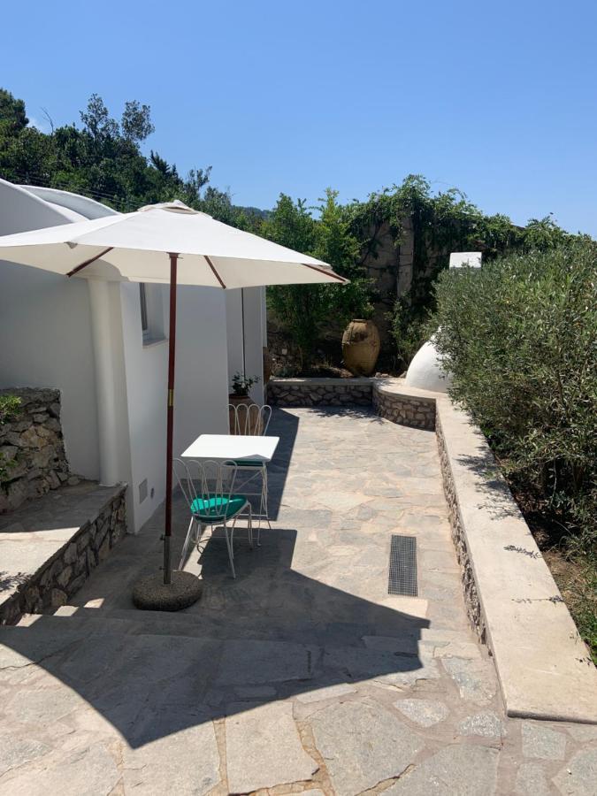 Il Carrubo Capri