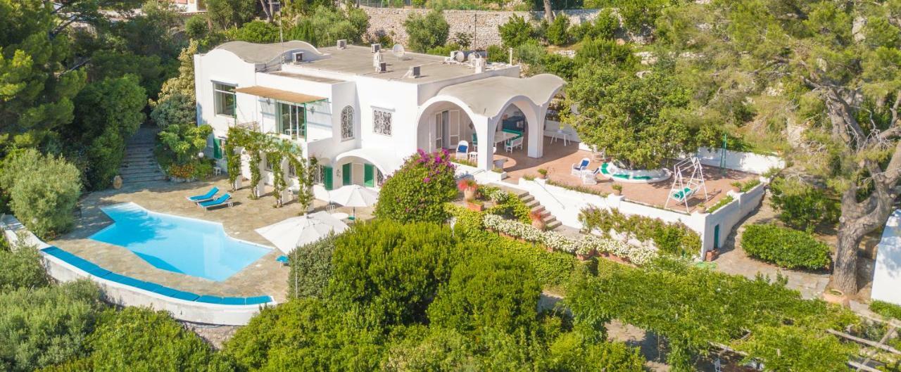 Il Carrubo Capri Anacapri (Isola di Capri)